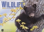 New Hampshire Wildlife 2023 Calendar